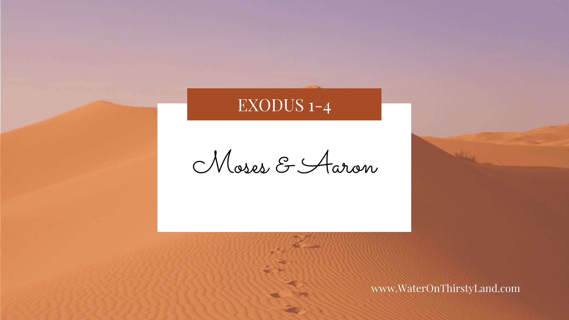 Exodus 1-4: Moses & Aaron