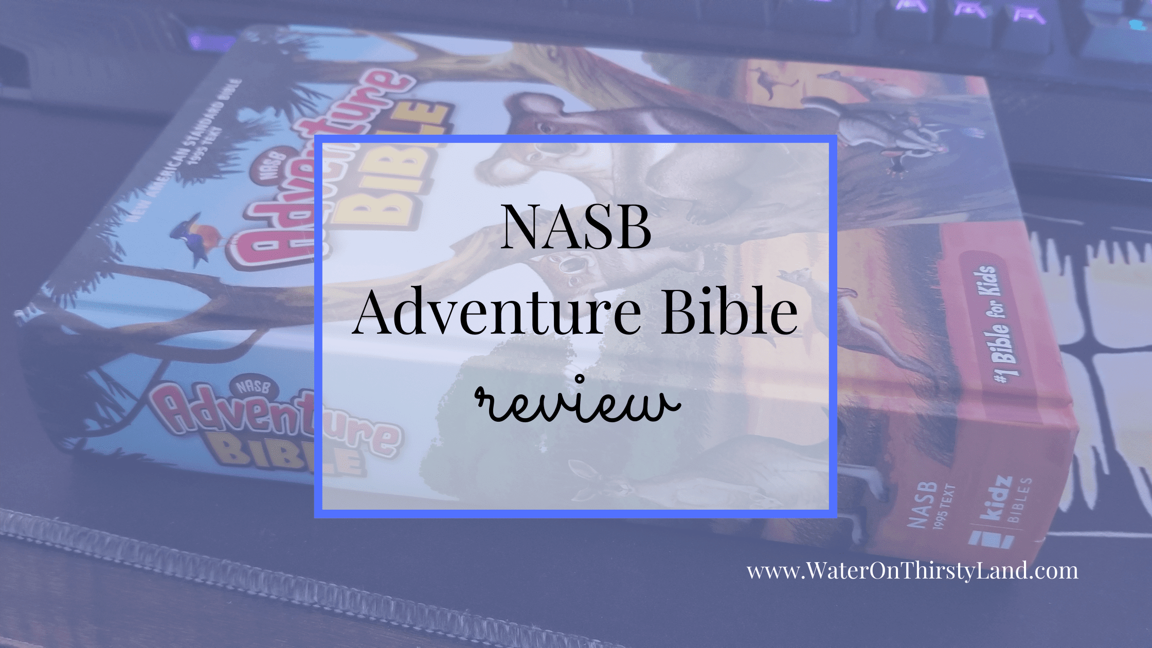 NASB Adventure Bible Review