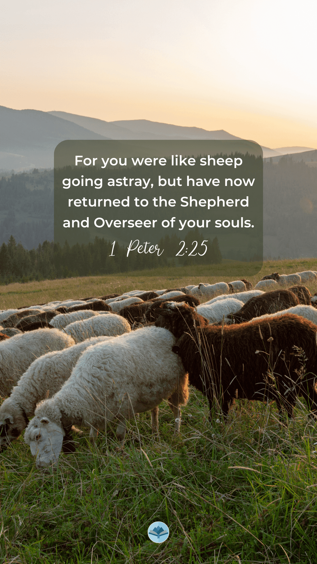 1-peter-2-25-wallpapers-water-on-thirsty-land