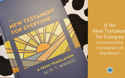 Is the New Testament for Everyone by N.T. Wright a trustworthy translation of the Bible?